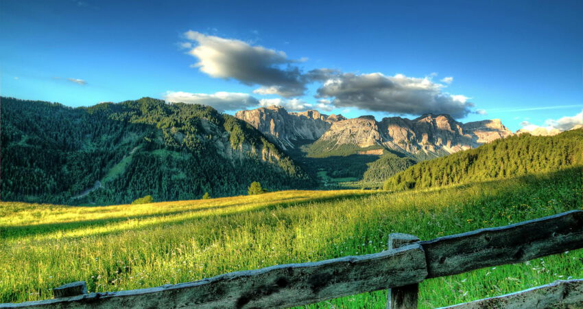 Eine Graswiese in den Alpen mit Bergen im Hintergrund